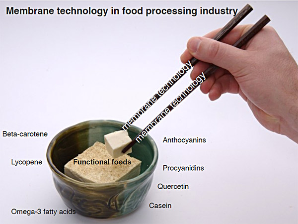 food-processing-industry-d01