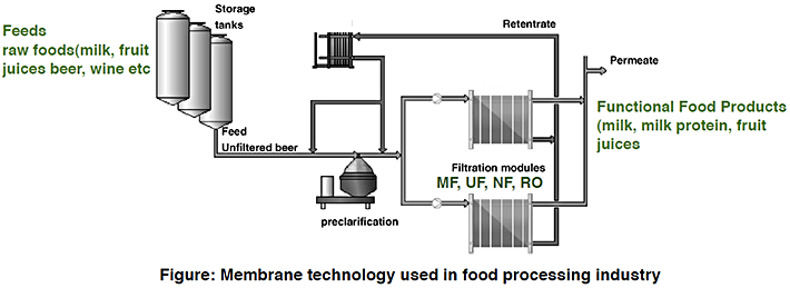 food-processing-industry-d04