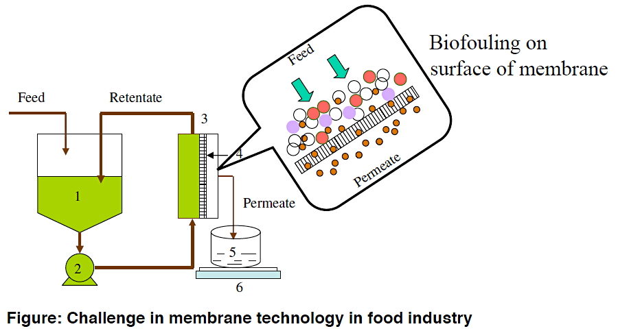 food-processing-industry-d06